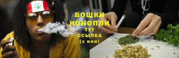 дживик Горнозаводск