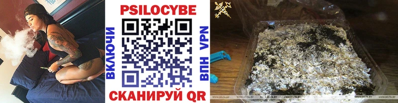 blacksprut сайт  сколько стоит  Заозёрск  Псилоцибиновые грибы мицелий 
